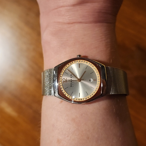 Skagen Asta Stainless Steel Mesh Watch w/Rose Face Date - Picture 6 of 10